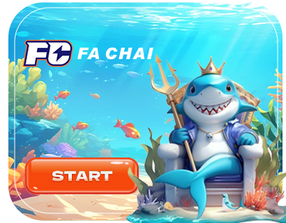 FC b